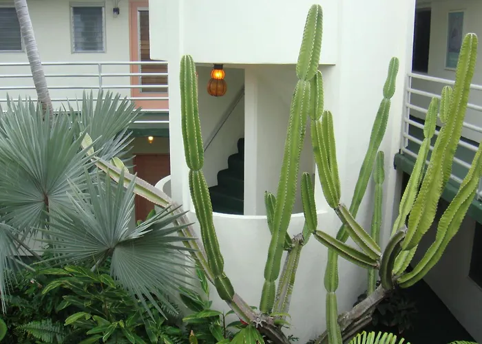 El Patio